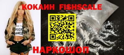 гидра Новозыбков