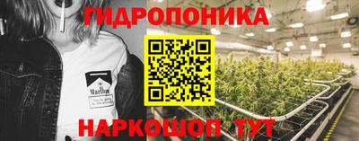 скорость Новодвинск