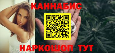 гидра Новозыбков