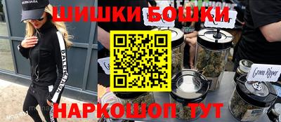 гидра Новозыбков