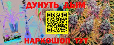 гидра Новозыбков