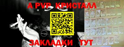 гидра Новозыбков