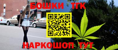 гидра Новозыбков