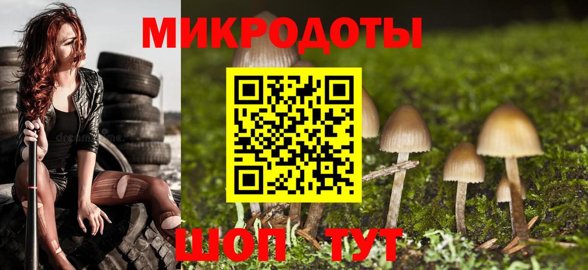 Дальнегорск  Псилоцибиновые грибы MAGIC MUSHROOMS  Вход с VPN  Галлюциногенные грибы Psilocybine cubensis 